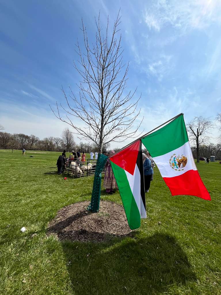 A Palestinian flag and a Mexican flag held together near a bare tree at an outdoor gathering on a sunny day.