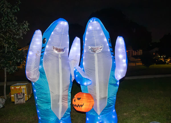 In Berwyn, Neighbors Find Light in One Another