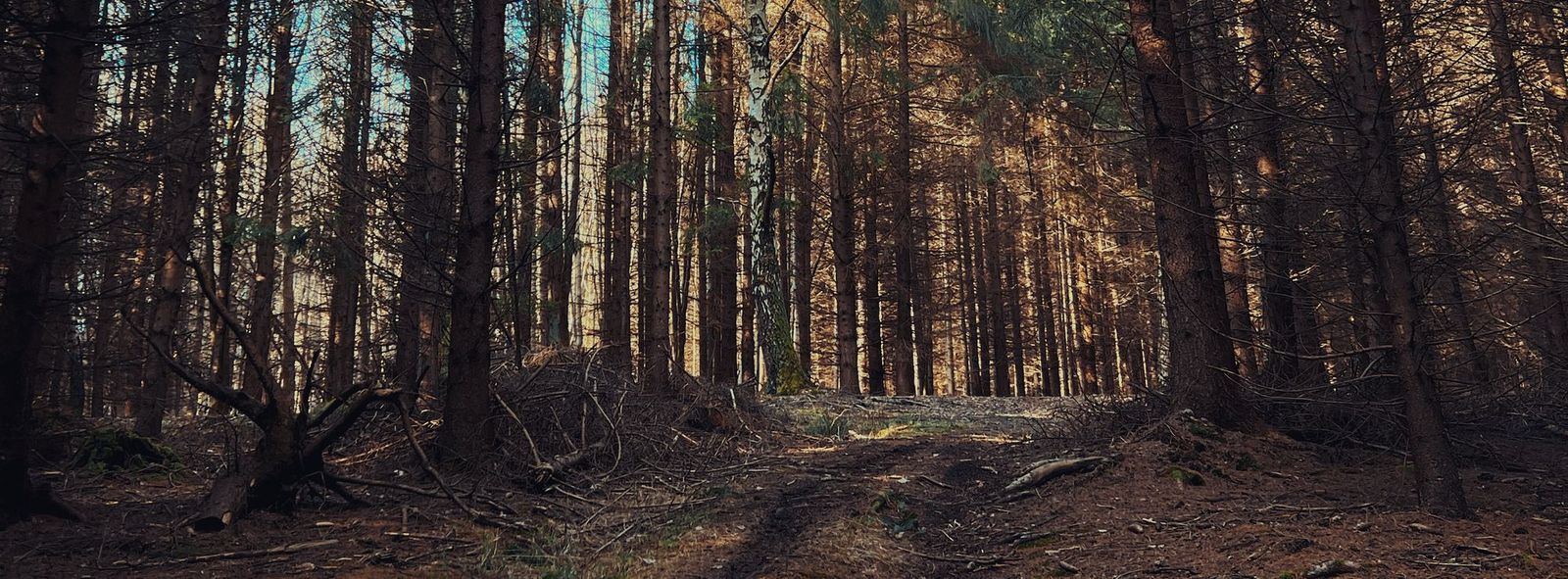 Chůze jako cvičení