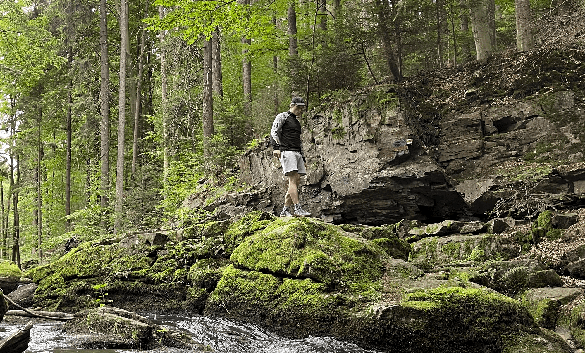 BJJ, Příroda, online coaching - 17/2022