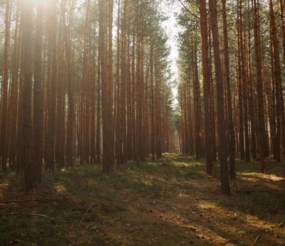 Největší chyby v rozhodování