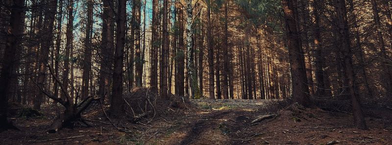 Chůze jako cvičení