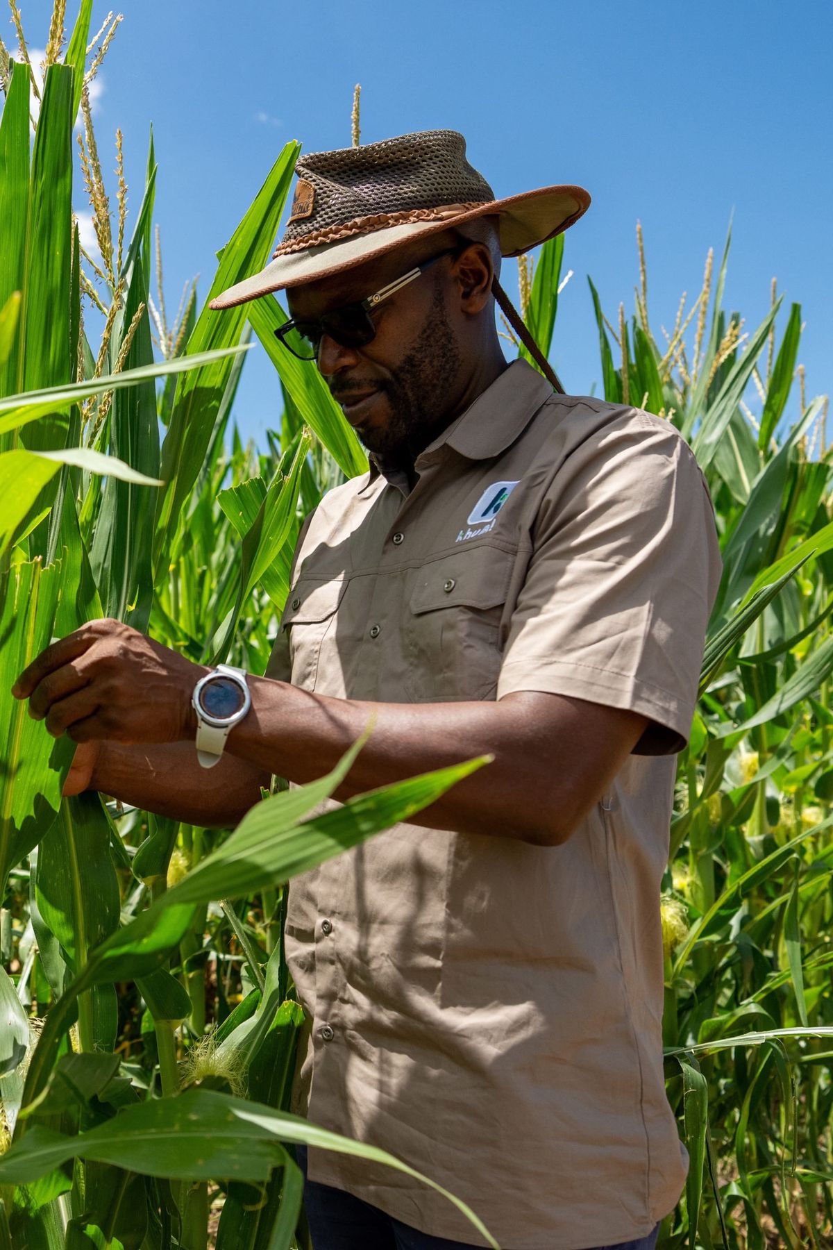 Khula's next move: How AI could reshape the future of African farming