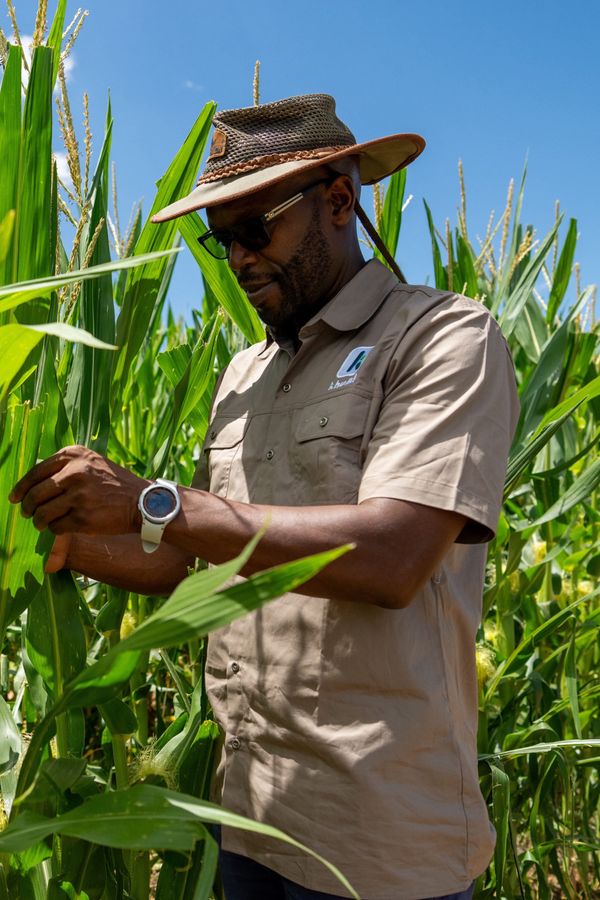 Khula's next move: How AI could reshape the future of African farming
