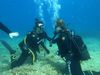Silba postaje centar zaštite mora: Stiže prvi Ocean Action Festival za spas Jadrana!"