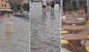 Stari Grad opet pod morem: "Šćiga je nekad bila iznimka, a sad je tu svaki treći dan!" - Evo kako nastaje ova pojava!