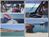 VIDEO Isprobali smo novu liniju Zadar – Ancona: Za samo 3,5 sata stigli u Italiju, a evo kako izgleda plovidba "Jelenom"