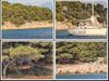OTOK TIJAT U uvali Tijašnica češka jedrilica vezana za stablo!