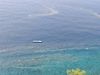 Općina Blato nakon gadljivog zagađenja na Korčuli: "To su talijanske vrećice za bistrenje vina"