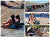 PLAŽA BEZ POHLEPE ZA LEŽALJKAMA Šibenčanin građevinskim karijolama osvojio Martinsku: „U njima se ljubi, plače i sunča!“