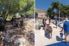 Brza akcija na Kornatima: Zbog sumnje na zanemarivanje, magarci s Kurbe Male preseljeni na Piškeru