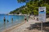 Gdje na more s ljubimcem? Vodič kroz više od 290 plaža za pse na Jadranu