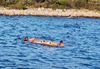 DRAMA NA PAGU Vjetar ih otpuhao s plaže, tri života spašena u zadnji čas, kod Novalje pronađeno tijelo Talijana