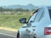 Čeh baca opušak iz Škode na A1, evo kolike su kazne za ovo!