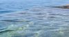 Fekalije u moru na plaži u Orebiću: "Ne kupajte se!"