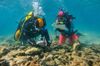 Zadarski arheolozi skenirali more uz Dugi otok: "Kriju li se ovdje dosad nepoznati brodolomi?"