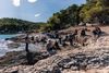 Upoznajte iznimni geološki spomenik prirode "Likva” u Sutivanu - 'Svemirska prašina' u plitkom moru