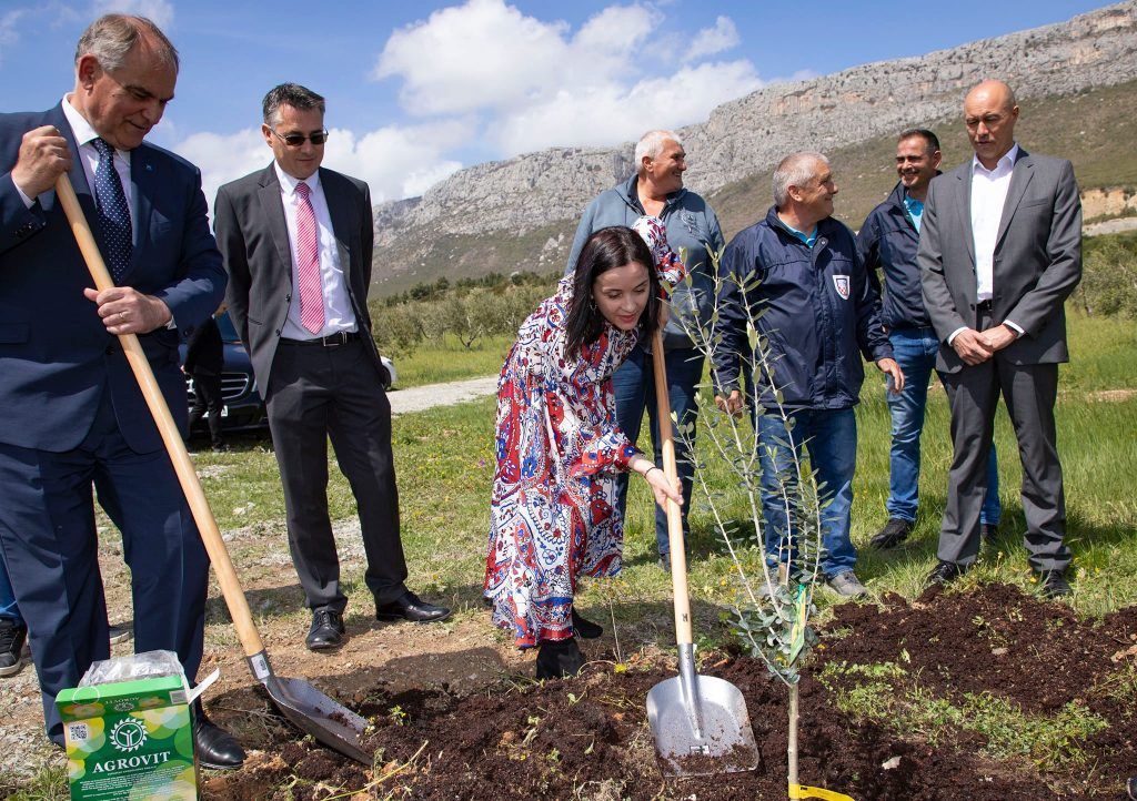 Vučković zbog velike suše najavila izvanrednu mjeru vrijednu oko 200 milijuna kuna