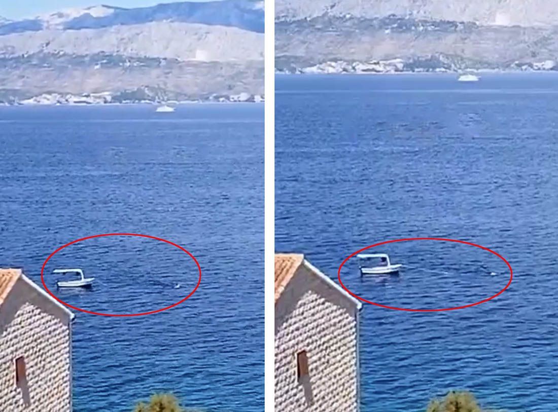 VIDEO: "POSKUPILO GORIVO" Pogledajte kako ovaj Bračanin plivajući vuče pasaru