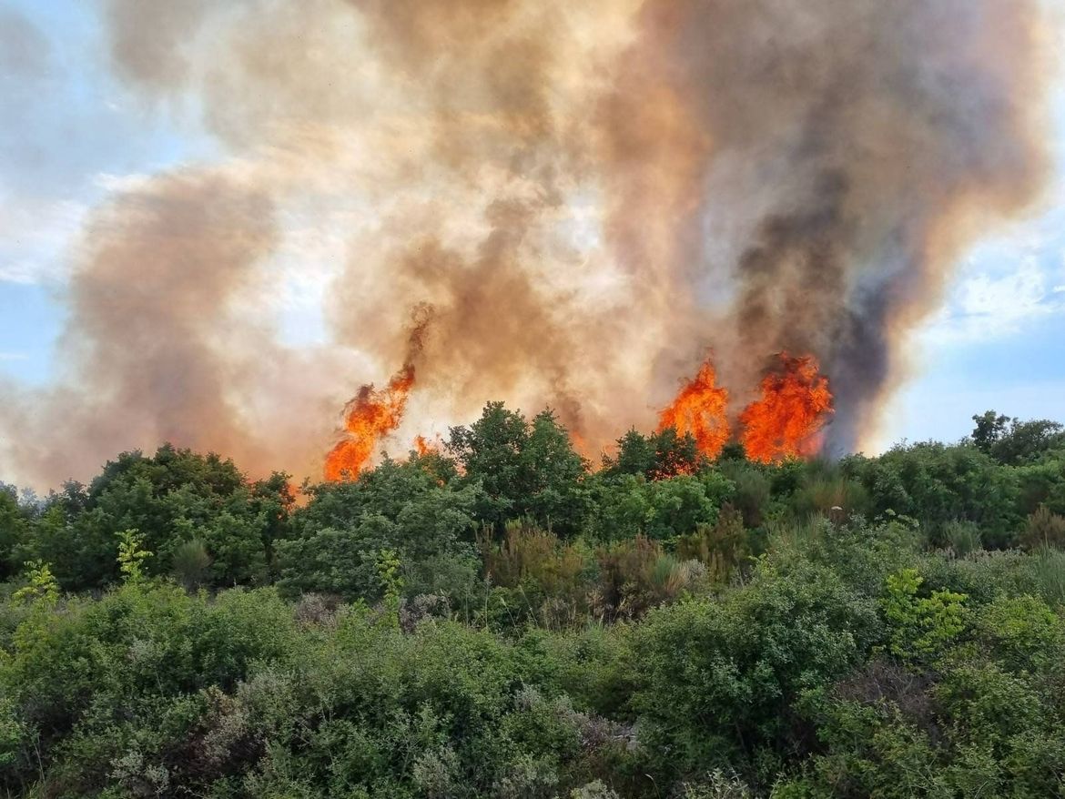GORI DILJEM OBALE Požari od Velebita do Konavala!