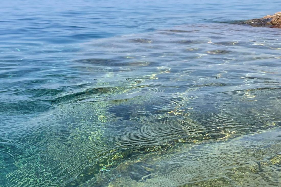 Plaža kod Pelješkog mosta onečišćena bakterijom Escherichia coli