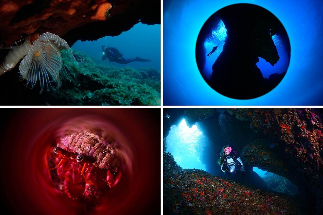FOTO U Dubrovniku održano Državno prvenstvo u podvodnoj fotografiji 2022.