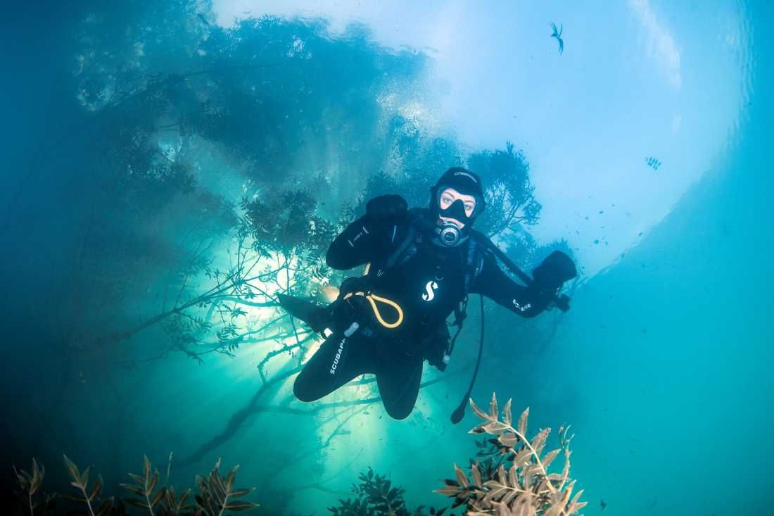 FOTO Ponikve ili Jezero “sad ga ima, sad ga nema”