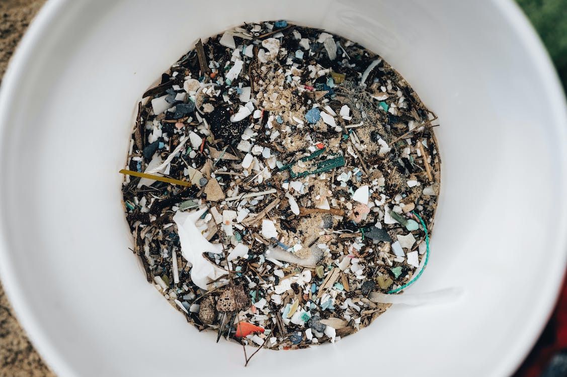 Borba protiv onečišćenja plastikom krije se u slini voštanih crva