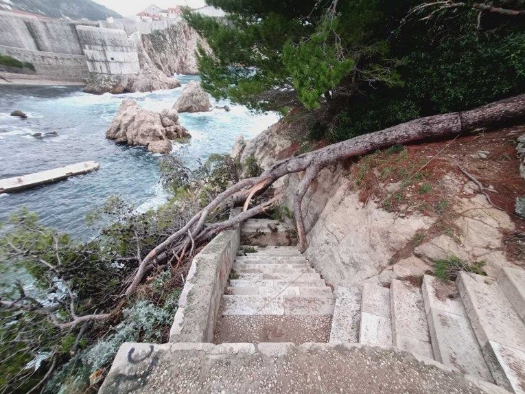 FOTO Nevrijeme noćas protutnjalo kroz Dubrovnik i rušilo stabla