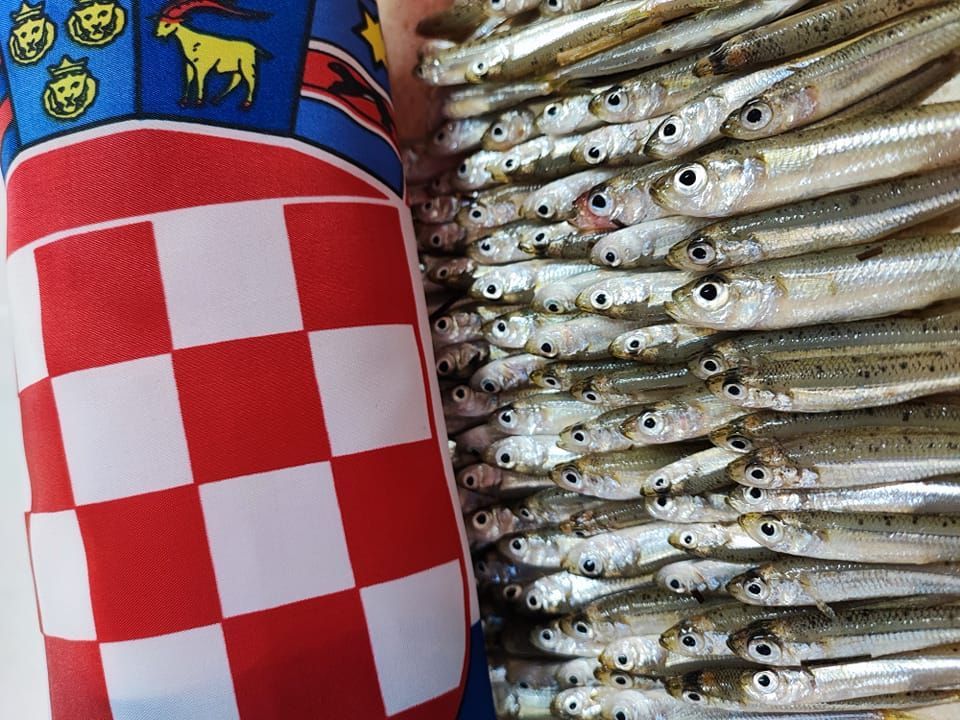 IDEMO NAŠI!