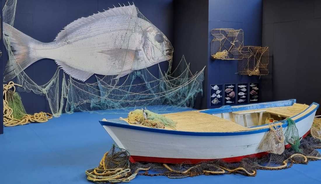 U Istri otvoreni sajam CROFISH i Dani mladog maslinovog ulja