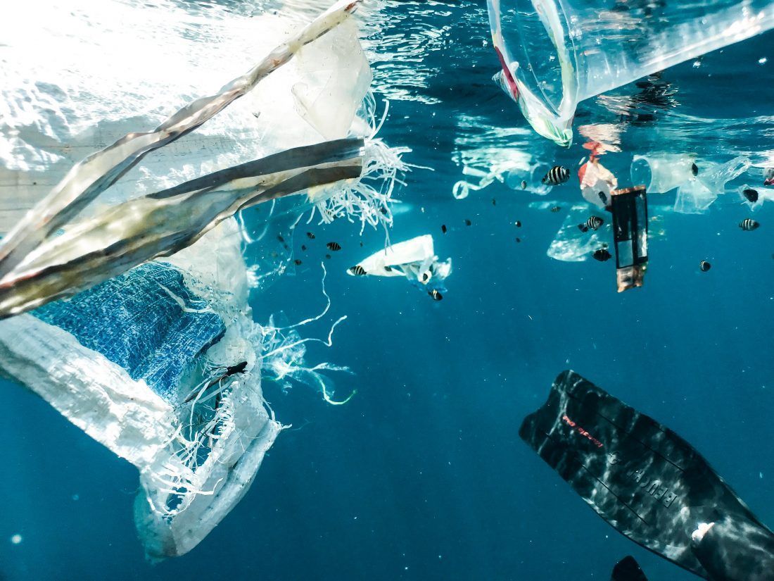 IUCN: Svakog dana u Sredozemlju završi 500 brodskih kontejnera plastike!