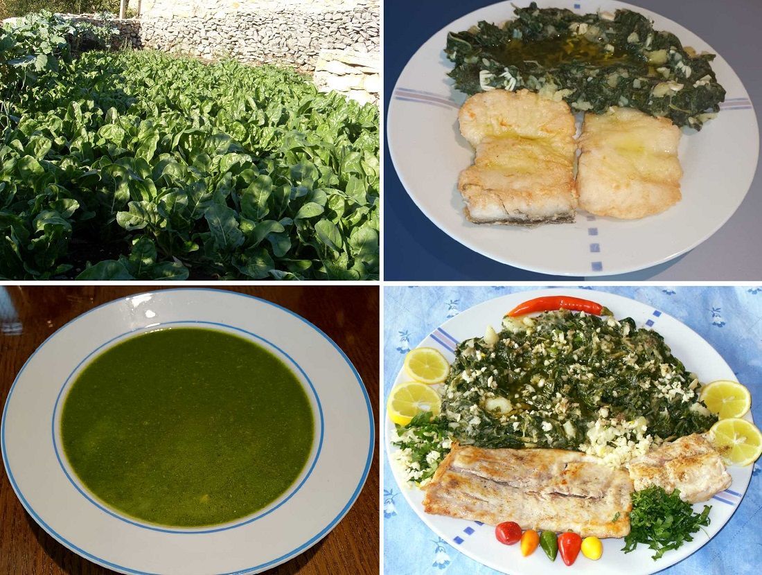 JEDNOSTAVNI DOMAĆI RECEPTI Blitva, čuvarica zdravlja