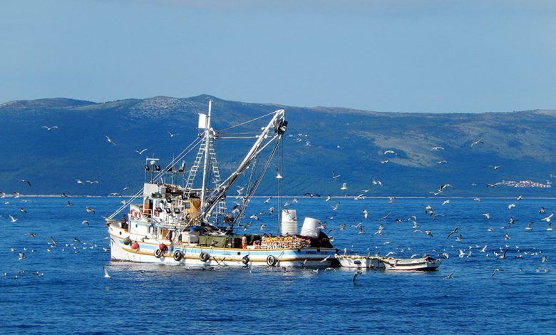 PLIVARIČARSKI RIBOLOV 2023. Pristup sustavu za prijavu potpora za privremenu obustavu