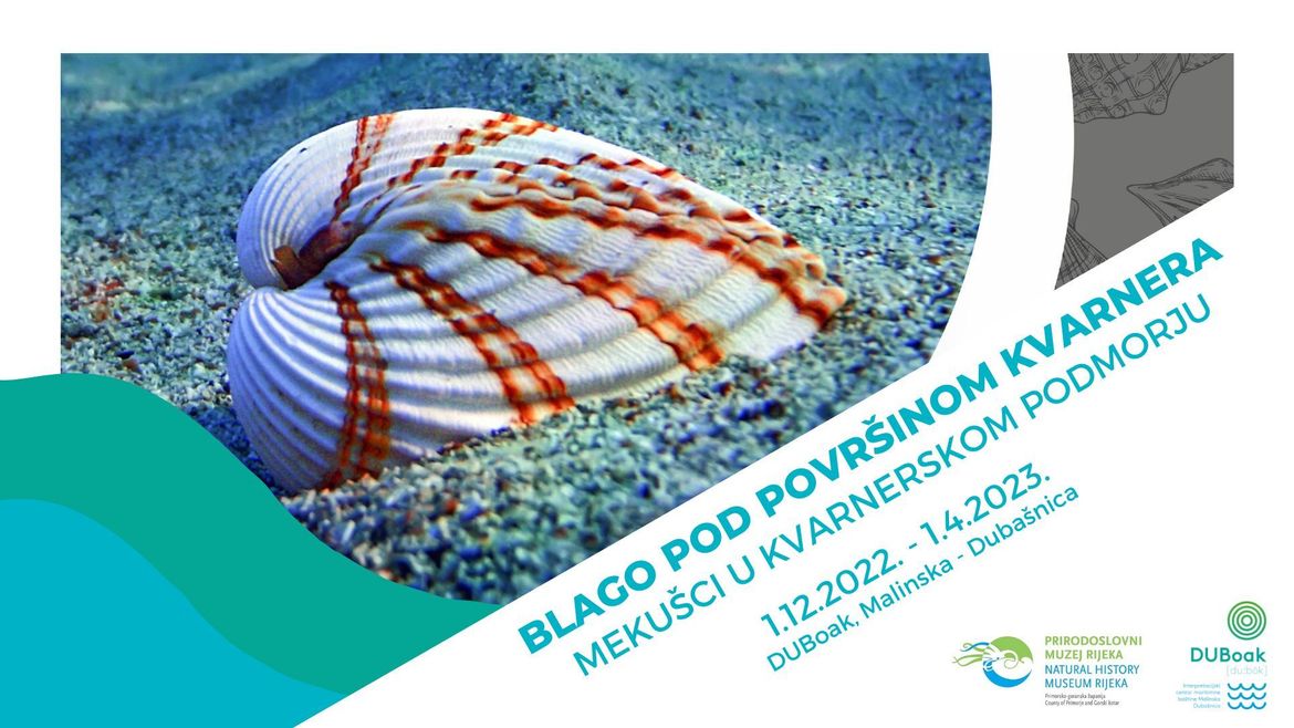Izložba 'Blago pod površinom Kvarnera - mekušci u kvarnerskom podmorju' u Malinskoj