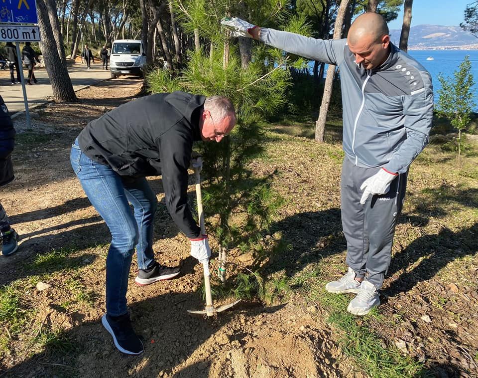 U Park šumi Marjan počelo pošumljavanje