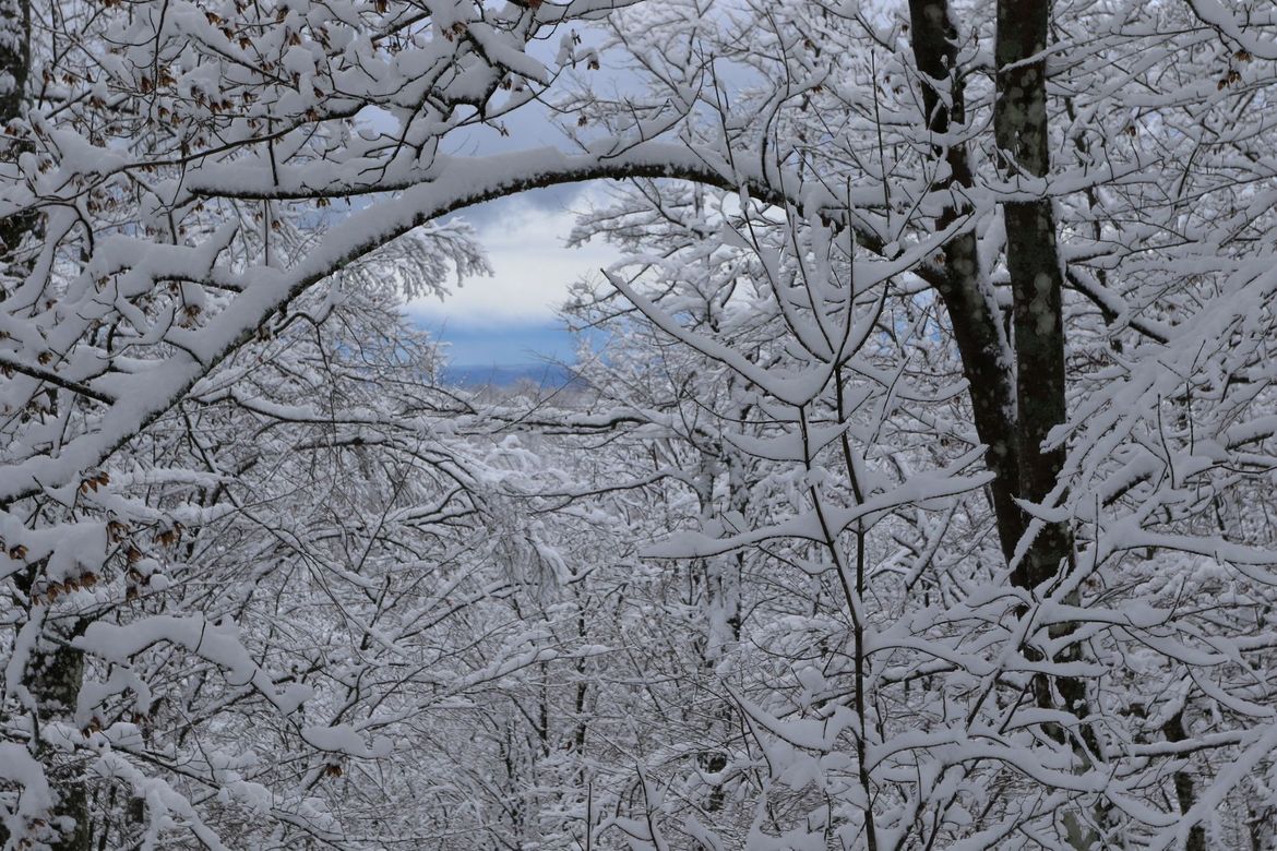 FOTO: Zima pokazuje zube, pogledajte kadrove s Učke