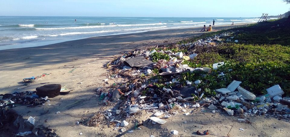 Svjetska organizacija za održivost nudi rješenje za borbu protiv onečišćenja oceana plastikom