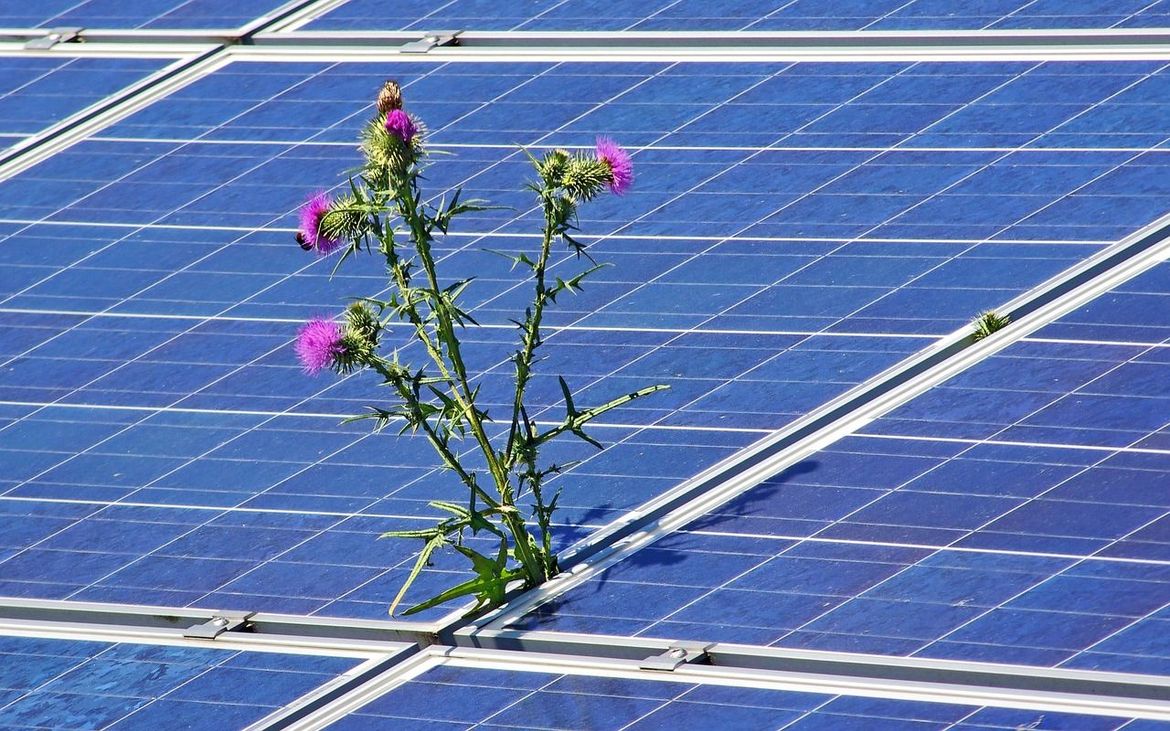 Hvarski vrtić dobija sunčanu elektranu - Otvara se postupak javne nabave