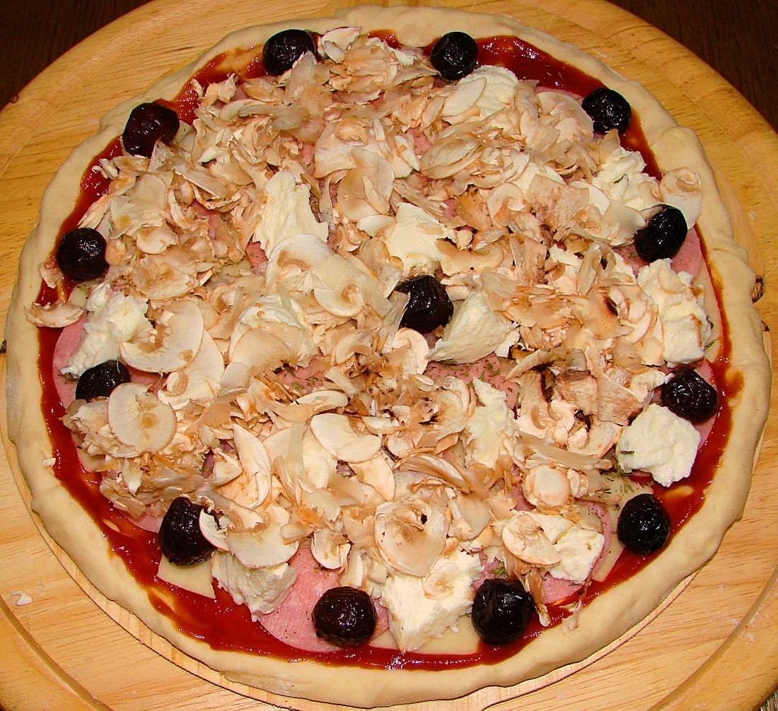 JEDNOSTAVNI DOMAĆI RECEPTI Domaća pizza
