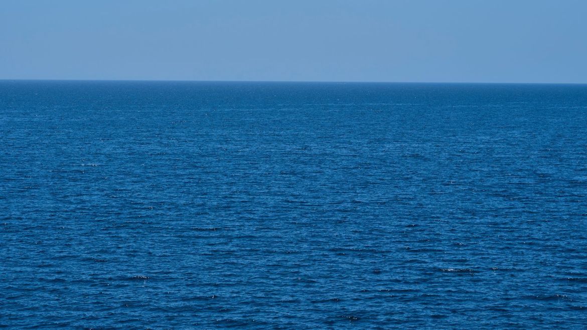 Hrvatske znanstvenice potvrdile uspješnu prilagodbu fitoplanktonskih vrsta na klimatske promjene u Sjevernom Jadranu