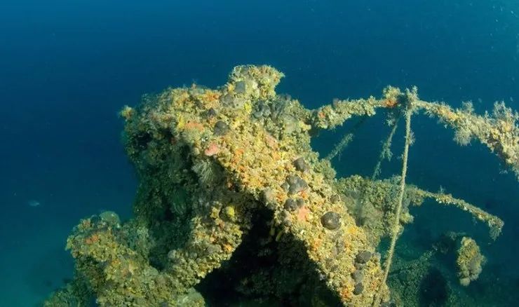 Olupina 'TOTONNO' potonuo je kod Grebena prije točno 80 godina, danas je atrakcija brojnim roniocima