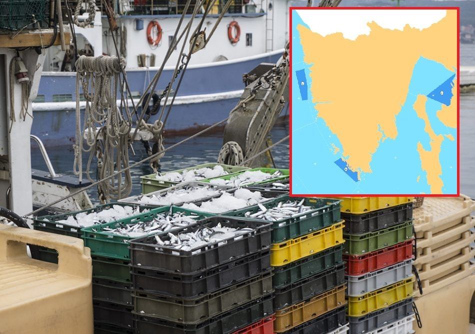 Objavljene karte i poziv iskaza interesa za obavljanje ribolova srdelarom u kanalskim područjima