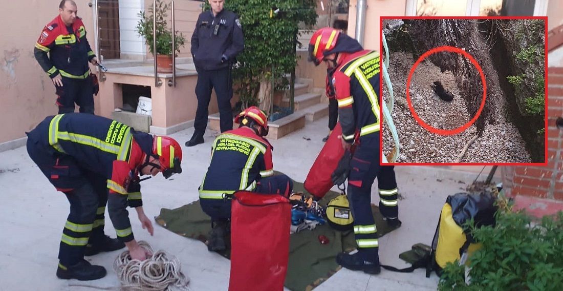 Rovinjski vatrogasci spasili psića iz provalije