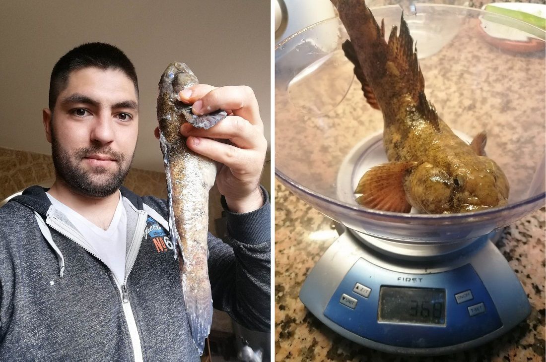 Prečanin ulovio glavoča rekordera!