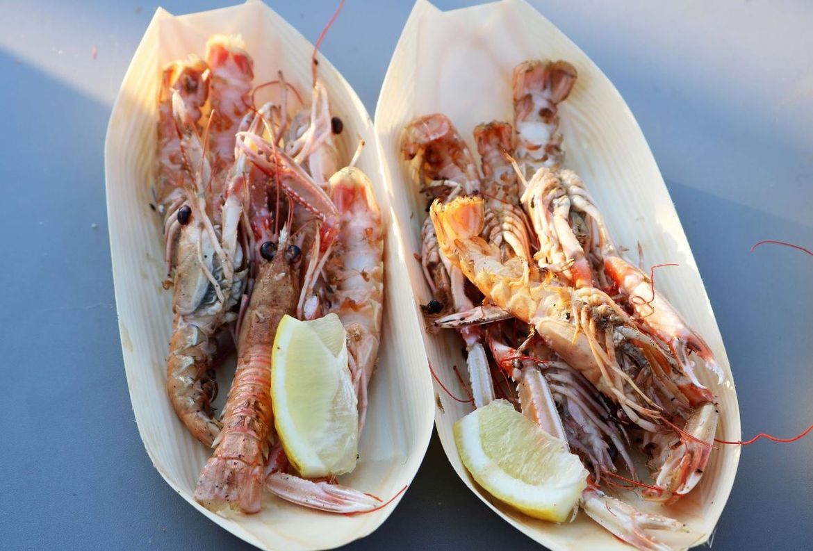 Uskoro Festival kvarnerskog škampa