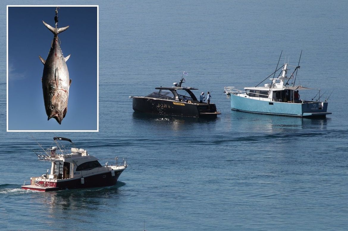 Lov na velike ribe u Orebiću