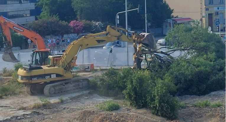 U Splitu srušeno jedno od najvećih i najstarijih stabala, građani ogorčeni