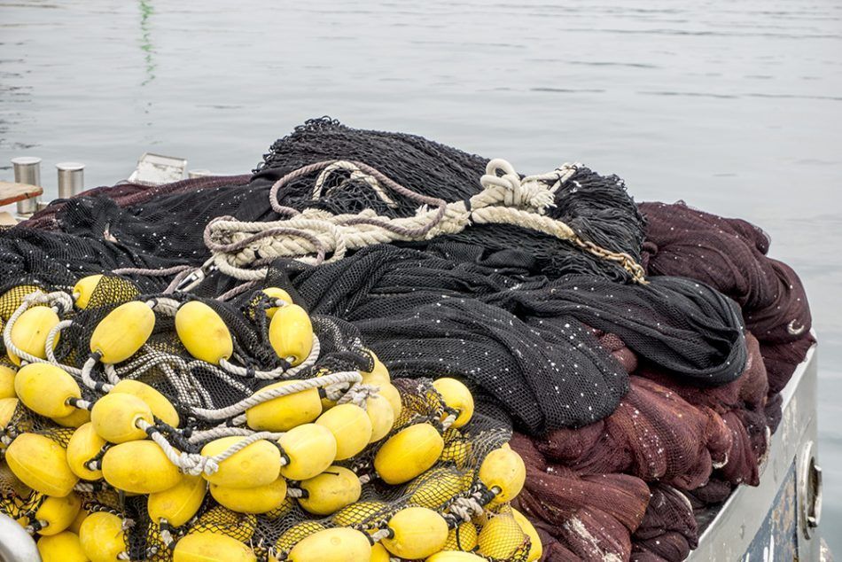 Važna obavijest za plivarice i koće: "Dostavite dokumente za potpore zbog privremene obustavu ribolova"