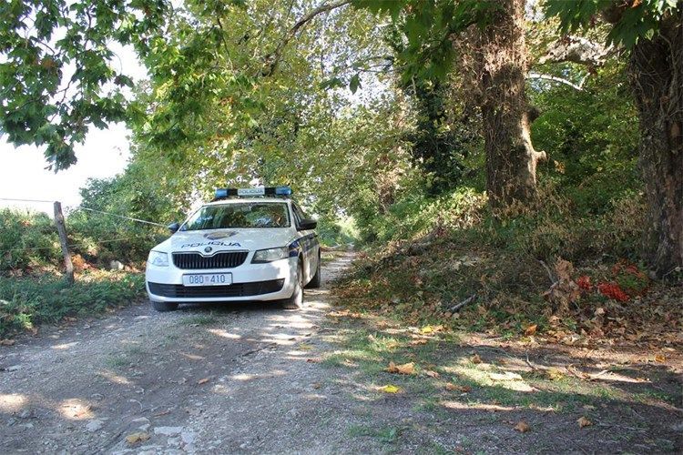 Vozač kod Umaga sletio s ceste s pet migranata, pa pobjegao